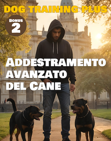 Bonus 1 Viaggiare con il cane