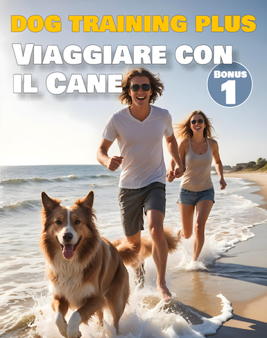 Bonus 2 Addestramento Avanzato